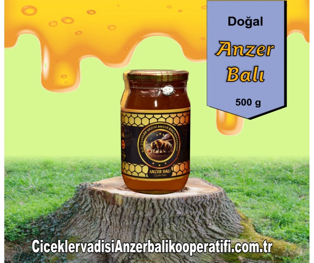 Doğal Anzer Balı 500 GR